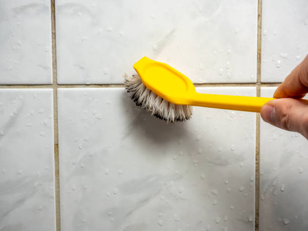 Best Best Mold Removal Companies  in Grape Creek, TX